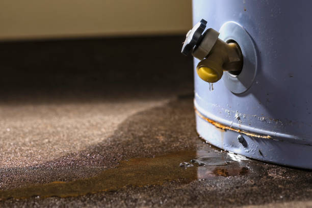 Best Water damage restoration mold remediation  in Greybull, WY