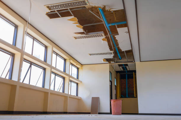 Water damage restoration mold remediation in WY