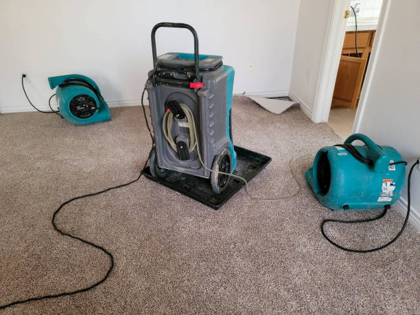 Best Basement water damage restoration  in Greybull, WY