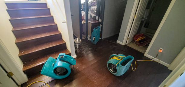 Best Flooded house restoration  in Greybull, WY