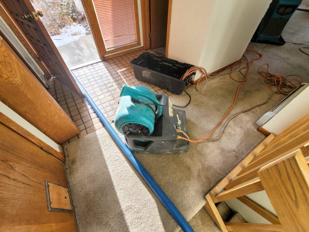 Best Water damage cleanup near me  in Greybull, WY