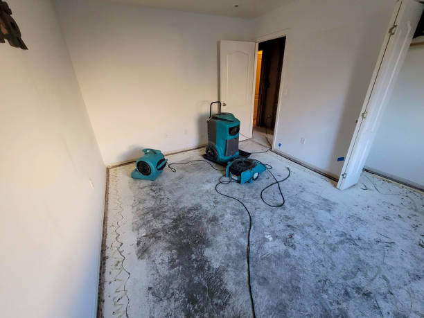 Best Water damage restoration near me  in Greybull, WY