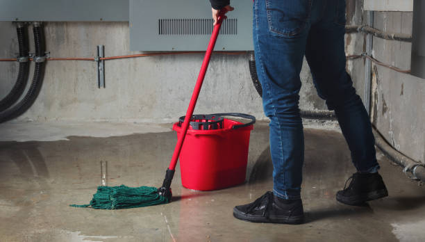 Best Carpet water damage restoration  in Greybull, WY