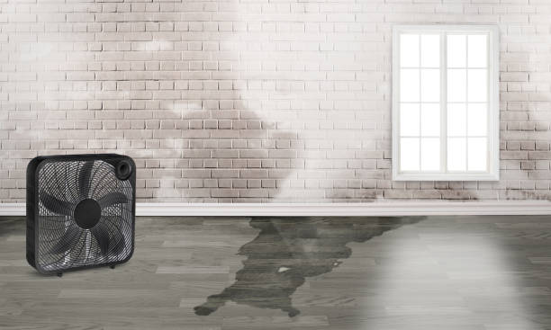 Best Emergency water damage restoration  in Greybull, WY