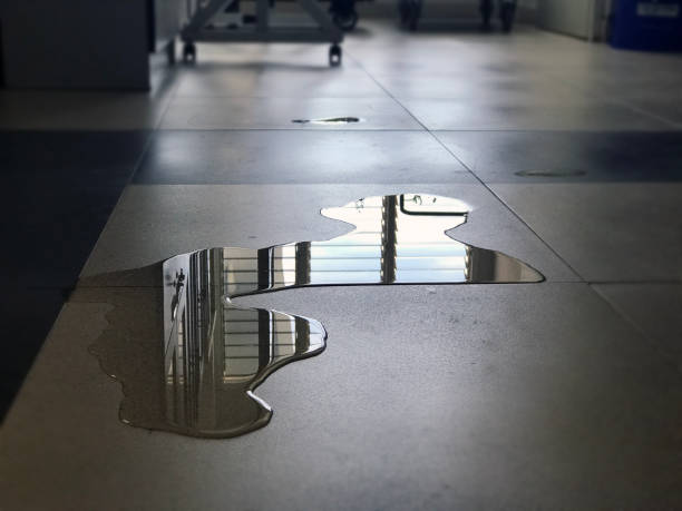 Best Professional water damage repair  in Greybull, WY