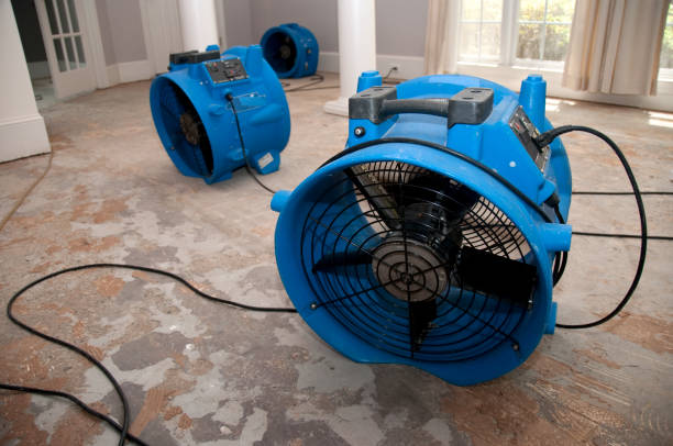  Greybull, WY Water damage restoration Pros