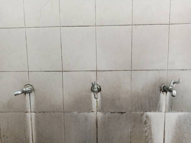 Best Fire Damage Restoration  in Greybull, WY