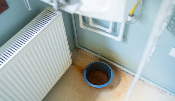Best Residential water damage restoration  in Greybull, WY