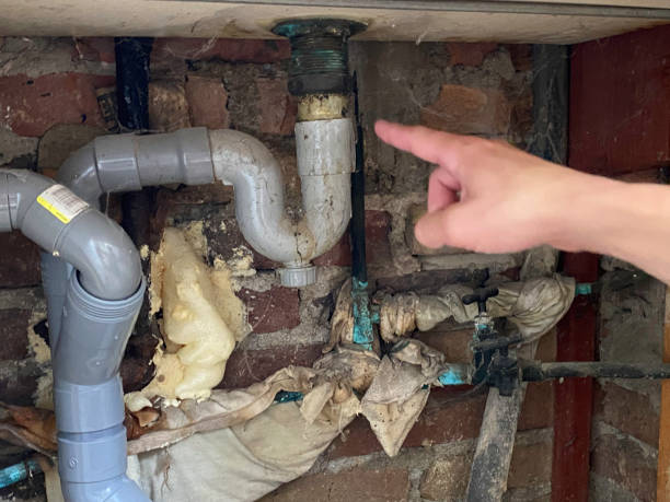 Best Basement water damage restoration  in Greybull, WY