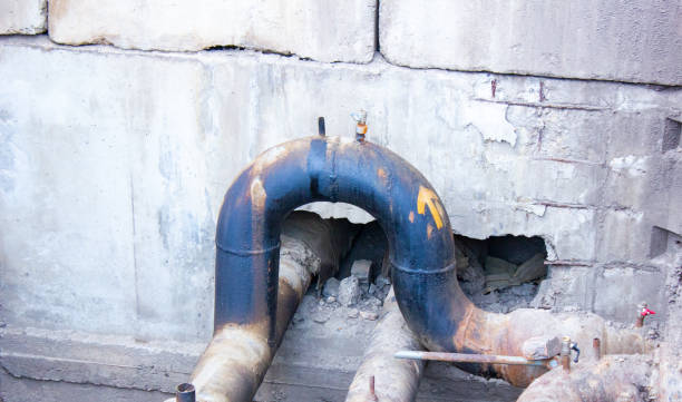 Best Flood restoration services  in Greybull, WY